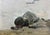 1970s Oil Painting Seascape Peter Kuzmich Stolyarenko For Sale
