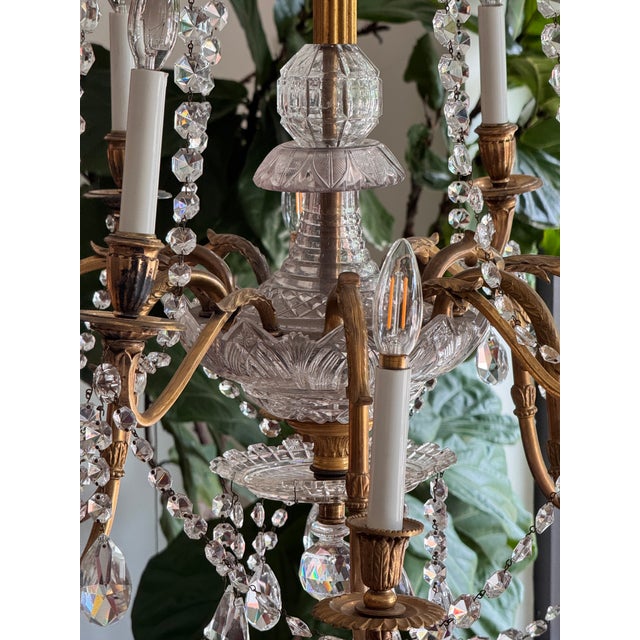 Early 19th Century Anglo-Irish Crystal and Gilt Bronze Chandelier For Sale - Image 11 of 11