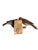 Austrian Folk Art Carved Wood Bird Pair #82, 1930s For Sale - Image 4 of 4