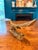 Vintage Brass Road Runner Figurine For Sale - Image 4 of 7