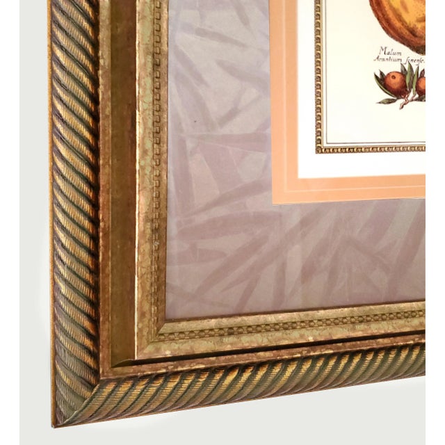 Glass Prints Botanical Pair Framed For Sale - Image 7 of 16