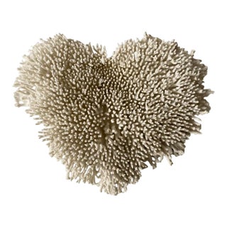 Late 20th Century Wall Mounted Table Coral Heart Shape Specimen For Sale