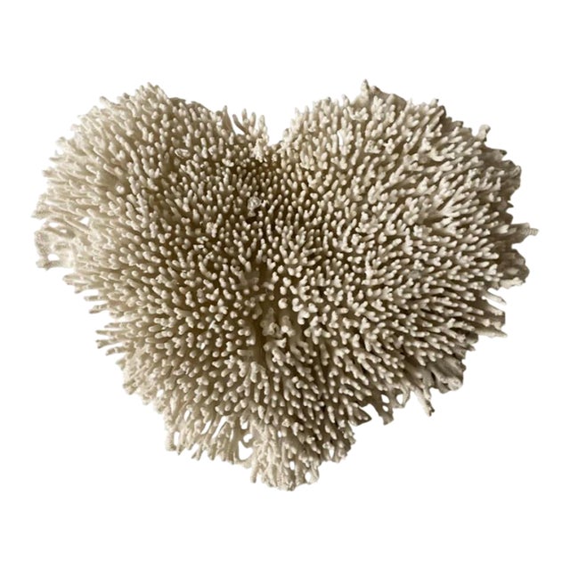 Late 20th Century Wall Mounted Table Coral Heart Shape Specimen For Sale