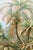 Vintage botanical artwork reproduced and refined for modern printing. Featuring layered fern fronds, tropical palm-like...