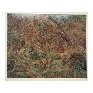 Original John Wawrzonek 'rye & Clover' Grass Cover Signed Artist Proof Photo
