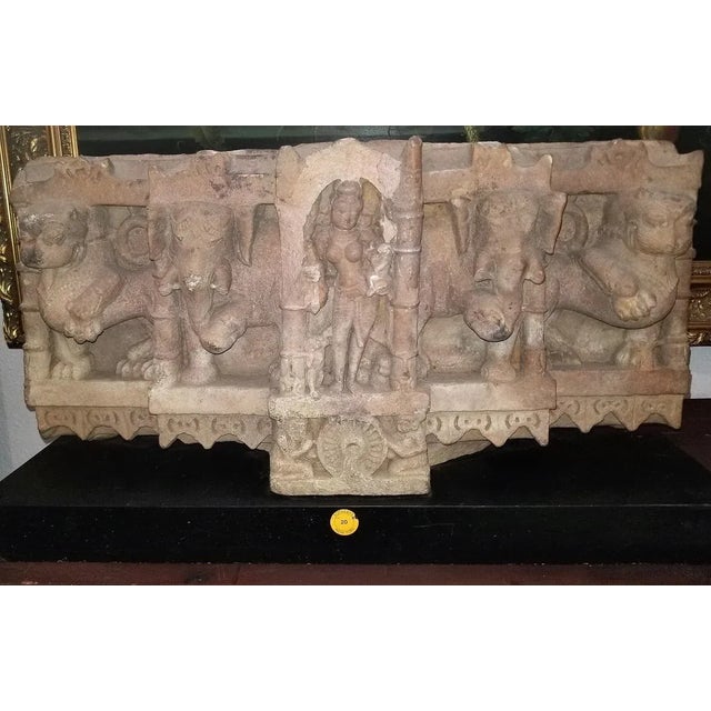 Wood 11c Ambika Buff Sandstone Western India For Sale - Image 7 of 13
