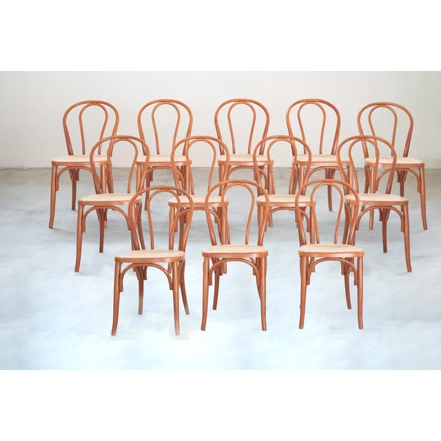 Chairs in Curved Beech Wood and Straw Seat, 1990s, Set of 12 For Sale - Image 4 of 17