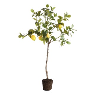 Faux Lemon Tree Drop-In 37" For Sale