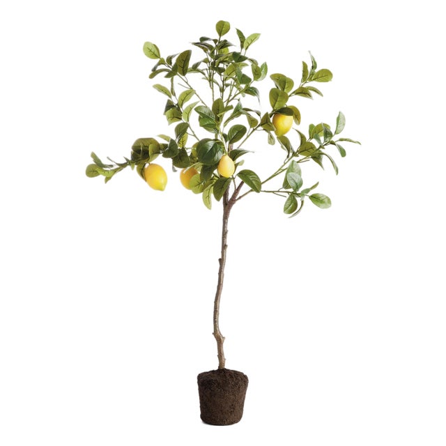 Faux Lemon Tree Drop-In 37" For Sale