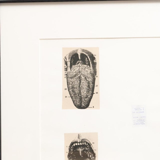 1980s Joan Brossa, Visual Poem, 1980s, Lithograph, Framed For Sale - Image 5 of 12