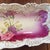 Antique p.t. Germany Tettau Porcelain Celery Dish, Magenta Floral Relish Tray, Circa 1902 For Sale - Image 4 of 12