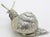Vintage Italian Handmade Silver Real Life Size Snail Solid Detailed Figurine Made in Varese 1980s For Sale - Image 6 of 12