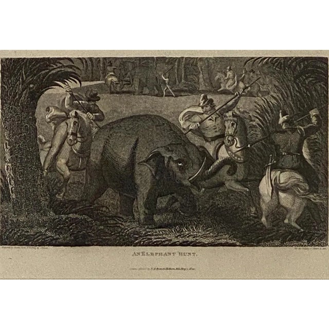 An early 19th-century English black and white engraving titled "Elephant Capture" circa 1820.