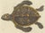 Bertuch, Sea Turtle and Freshwater Turtle, 1790, Engraving For Sale - Image 6 of 9