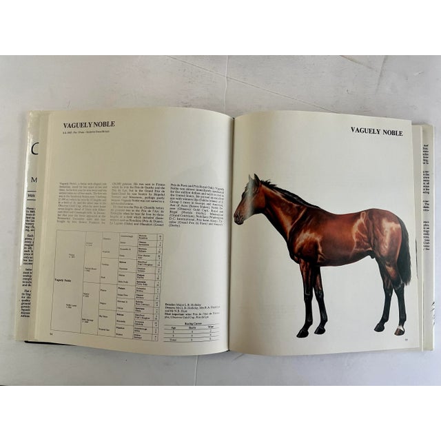 1980s Champion Horses Book by Maurizio Bongianni, 1983 For Sale - Image 5 of 8