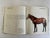 1980s Champion Horses Book by Maurizio Bongianni, 1983 For Sale - Image 5 of 8