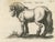 Jonstonus & Merian, Early Frisian and Hungarian Horse Engraving, 1650, Engraving For Sale - Image 4 of 12