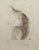 Surrealism Dali Shakespeare II Timon of Athens H/Sign # Etching Dali Archives Certified Art For Sale - Image 3 of 6
