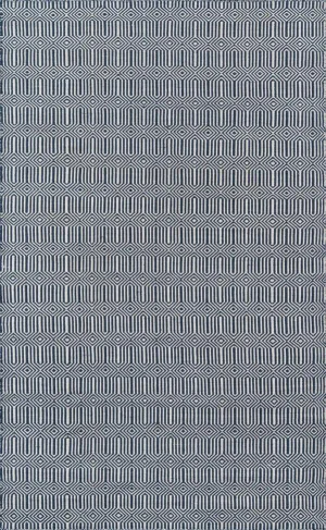 Erin Gates Newton Holden Navy Hand Woven Recycled Plastic Area Rug 2' X 3'