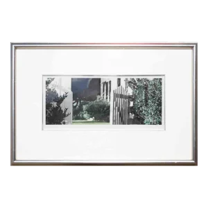 1997 "Hawkins Ranch" Green-Toned Modern Contemporary Colored Landscape Photograph 2/2 by Casey Williams