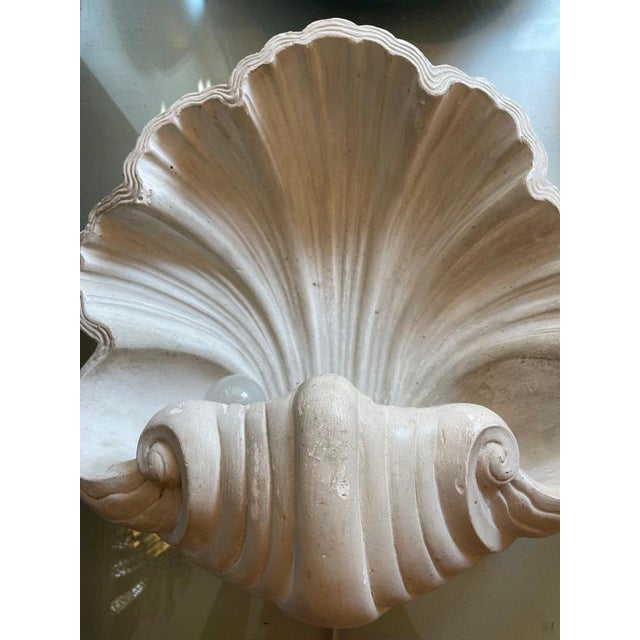Plaster Shell Wall Lamp, 1950s For Sale - Image 9 of 13
