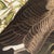 John James Audubon 1980s The Abbeville Press Edition of the Canada Goose (Plate 201) From the Birds of America by John James Audubon For Sale - Image 4 of 5
