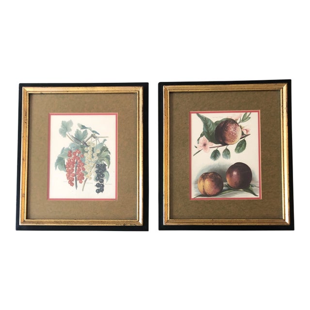 Gallery Wall Collection 2 Original Vintage Classic Fruit Lithograph Prints Peaches & Grapes-A Pair For Sale
