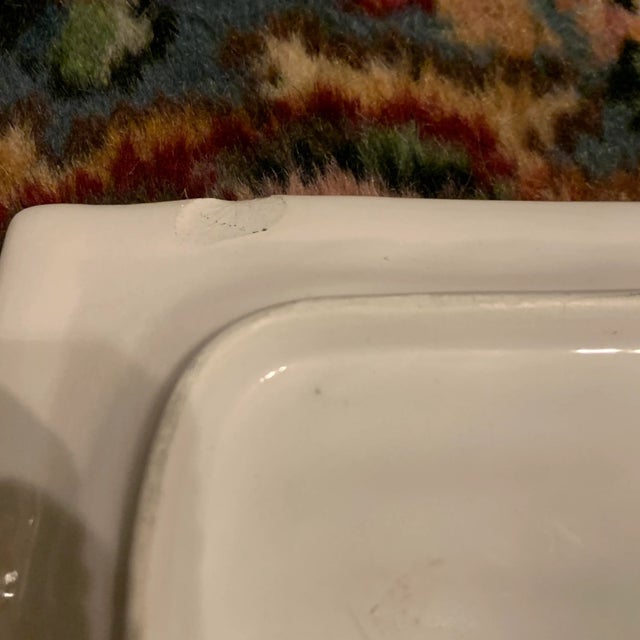 Italian Majolica Vietri Frog and Faux Bois Plate For Sale - Image 9 of 13