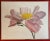 1970s Mid-Century Modern Botanical Oil Painting on Canvas of a Wild Beach Rose (Rosa Rugosa) Signed R. Blackburn For Sale - Image 16 of 17