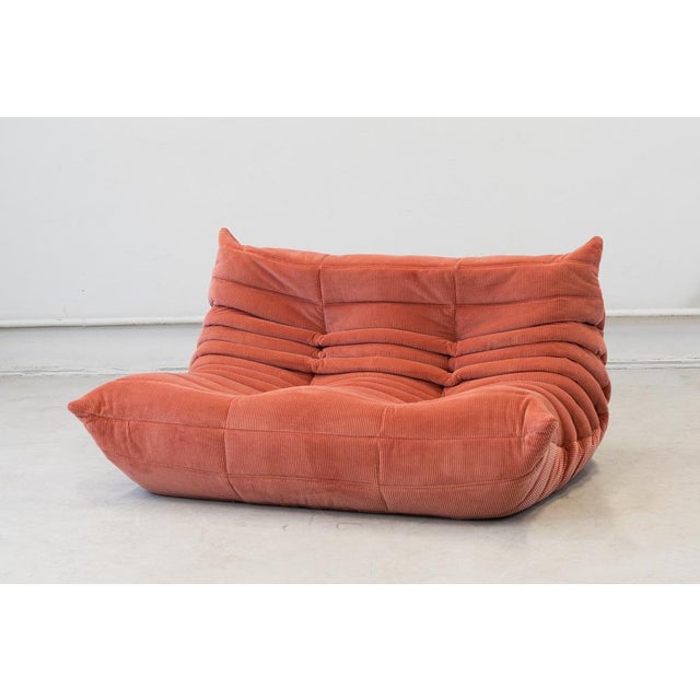 Textile Togo Two-Seat Sofa in Coral Corduroy by Michel Ducaroy for Ligne Roset For Sale - Image 7 of 12