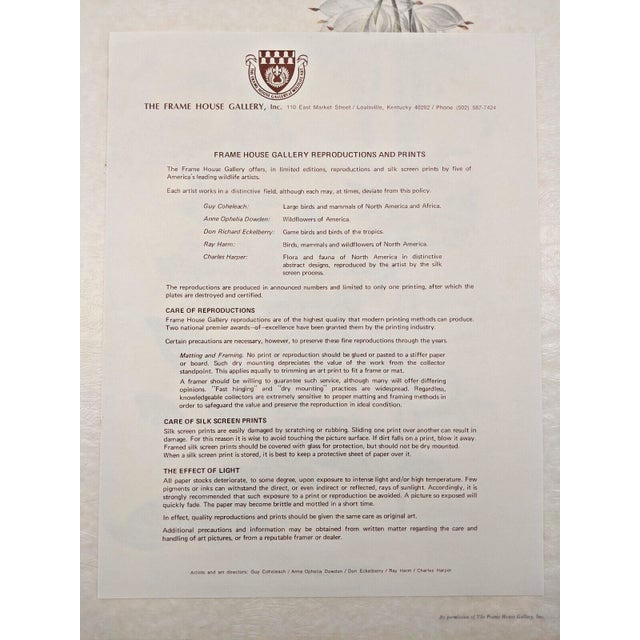 1970 Framed Under Glass Botanical Print Butterfly Weed For Sale - Image 11 of 11