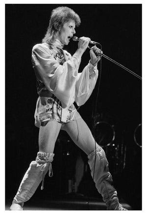 'Ziggy's Last Gig' Unframed Archival Pigment Print