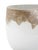 2020s Midas Glass Bowl- Small For Sale - Image 5 of 9