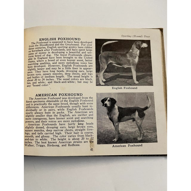 1934 the Book of Dogs For Sale - Image 9 of 12