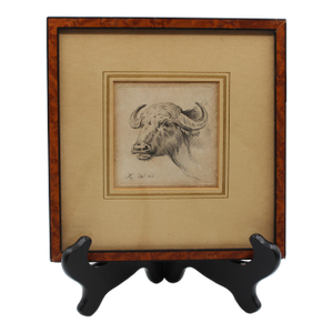 Late 19th Century German "Cape Buffalo" Print by Friederich Wilhelm Kuhnert