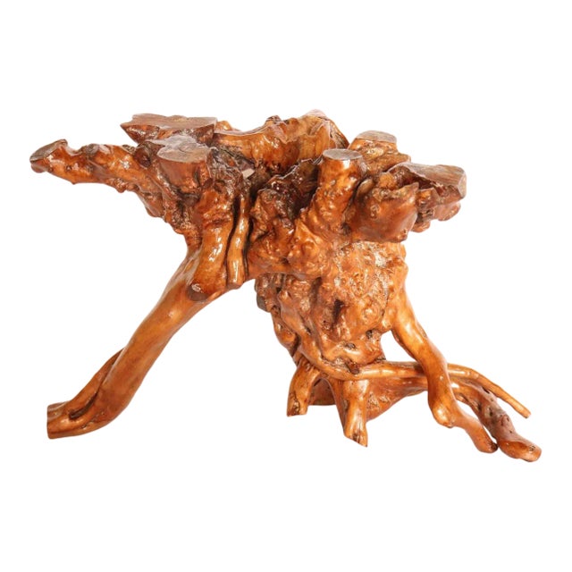 Late 19th Century Wabi Sabi Japanese Lacquered Root Stand For Sale