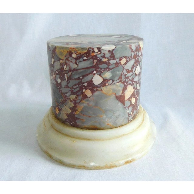 Stone Antique 19th Century Italian Grand Tour Specimen Breccia Marble Column Pedestal For Sale - Image 7 of 7