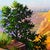 Golden Canyon by Michelle Condrat | Oil on panel Landscape with canyon and trees. For Sale
