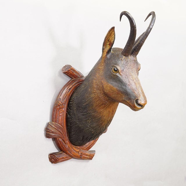 Large Naturalistic Black Forest Carved Chamois Head, ca. 1920s A large antique wooden carved Black Forest chamois head...