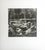Editioned Photography Picnic Mougins by Lee Miller For Sale - Image 10 of 14