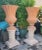 Pair of Large Terracotta Italian Urns "Ref Impruneta " on Carved Jodhpur Sandstone Pedestals For Sale - Image 9 of 13