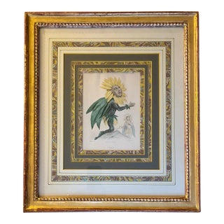 Antique 19th Century Louis Philippe Sun Flower Print by Jean Ignace Isidore Gérard Grandville "Soleil" From Les Fleurs Animees, 1846 For Sale