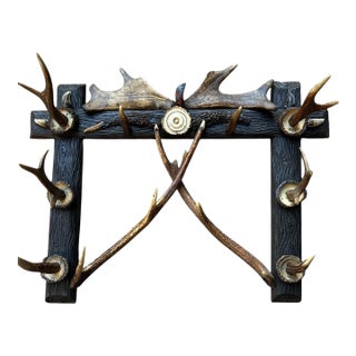 Antique Antler Hat Rack For Sale