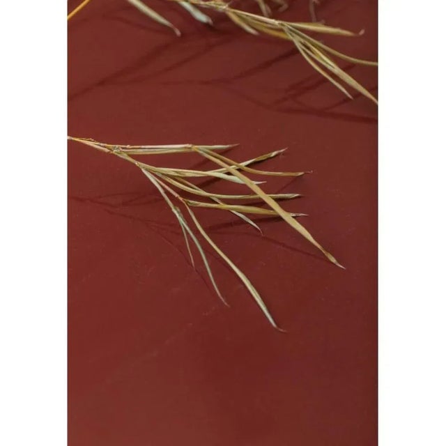 Soma Table by Mylene Niedzialkowski For Sale - Image 4 of 6