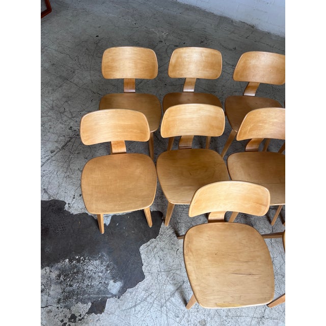 Mid Century Modern Bentwood Chairs by Bruno Weil for Thonet - 12 Available For Sale In Phoenix - Image 6 of 7