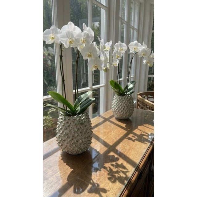 Pair of Vintage Italian Textured Sea Urchin Ceramic Studio Vases For Sale In West Palm - Image 6 of 11