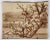 Albumen print from the period by Eugène Atget representing an apple tree branch in full blossom. Written on the back by...
