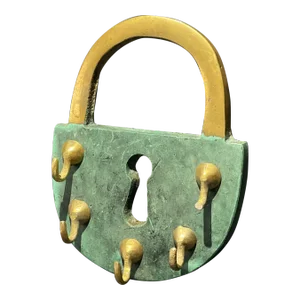 Patina Brass Pad Lock Shaped Hook