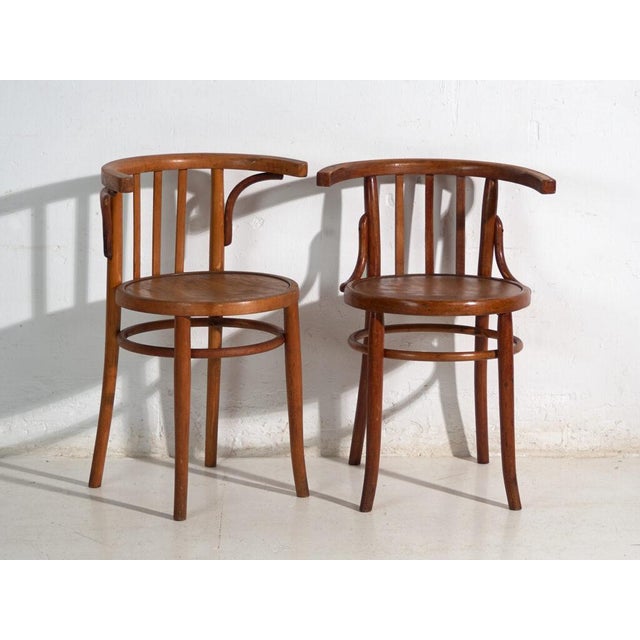 Brown Mundus Bentwood Chairs, 1920, Set of 4 For Sale - Image 8 of 14
