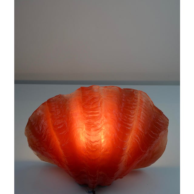Vintage Sculptural Resin Shell Wall Sconce, 1970s For Sale - Image 13 of 18